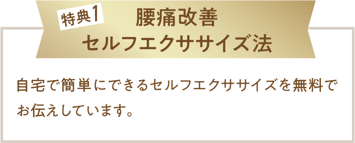 来院特典1、腰痛改善セルフエクササイズ法