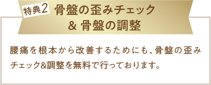 来院特典2、骨盤チェックと骨盤調整